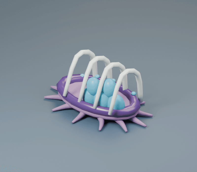 Matron's Nest render, reverse view
