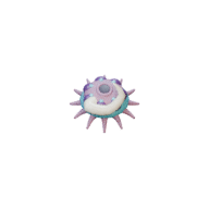 Barb Polyp facing E