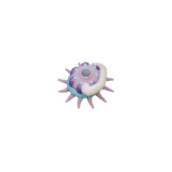 Barb Polyp facing NE