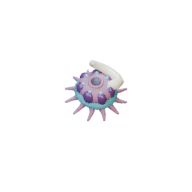 Barb Polyp facing NW