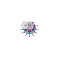 Barb Polyp facing S