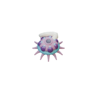 Barb Polyp facing W