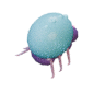 Bloat facing NE