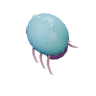 Bloat facing NW