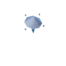 Chime facing NE