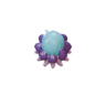 Cyst facing S