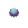 Cyst facing W