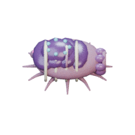 Deep Reef facing E