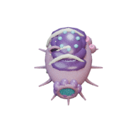Deep Reef facing S