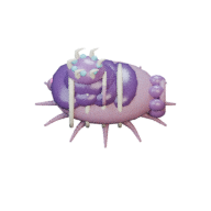 Great Reef facing E