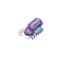 Grub facing SW