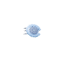 Lens facing E