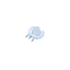 Lens facing NE