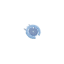 Lens facing SE