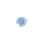 Lens facing SW