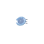 Lens facing W