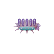 Moult Chamber facing E