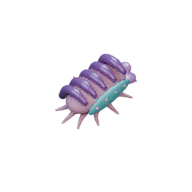 Moult Chamber facing NE