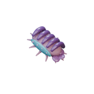 Moult Chamber facing SE