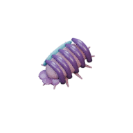 Moult Chamber facing SW