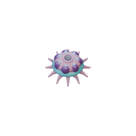 Polyp facing E