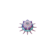 Polyp facing N