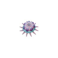 Polyp facing NE