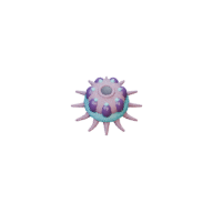 Polyp facing S