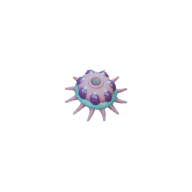 Polyp facing SE