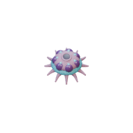 Polyp facing W