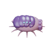 Reef facing E