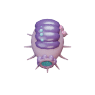 Reef facing S