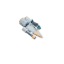 Skimmer facing SE
