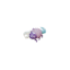 Spat facing SW