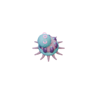 Spore Polyp facing N