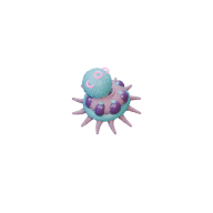Spore Polyp facing NE