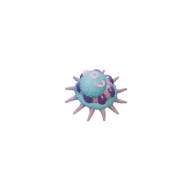 Spore Polyp facing NW