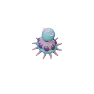 Spore Polyp facing SE