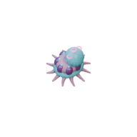 Spore Polyp facing SW