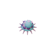Spore Polyp facing W