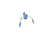 Strider facing SW